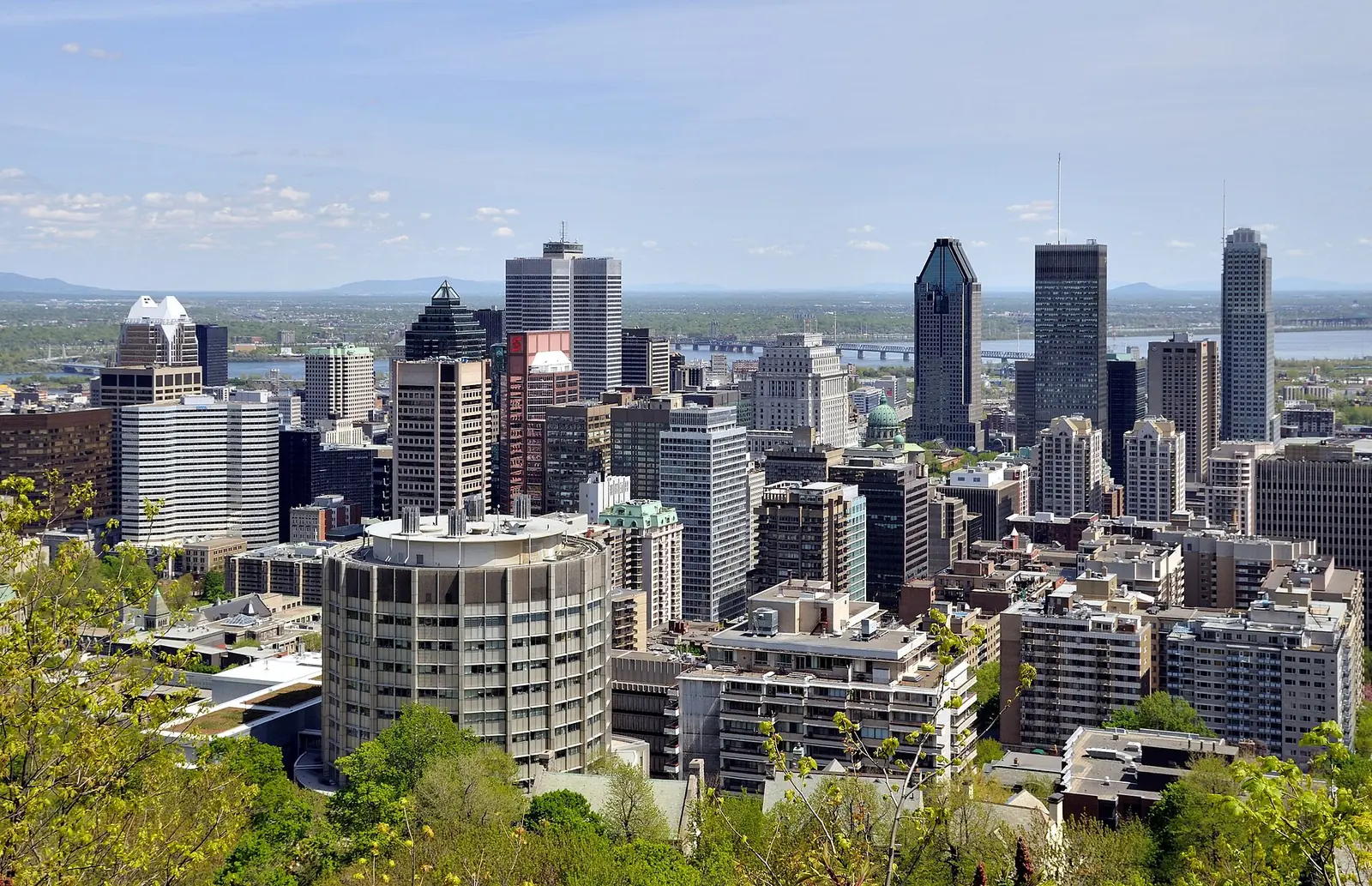 Montreal skyline above the river