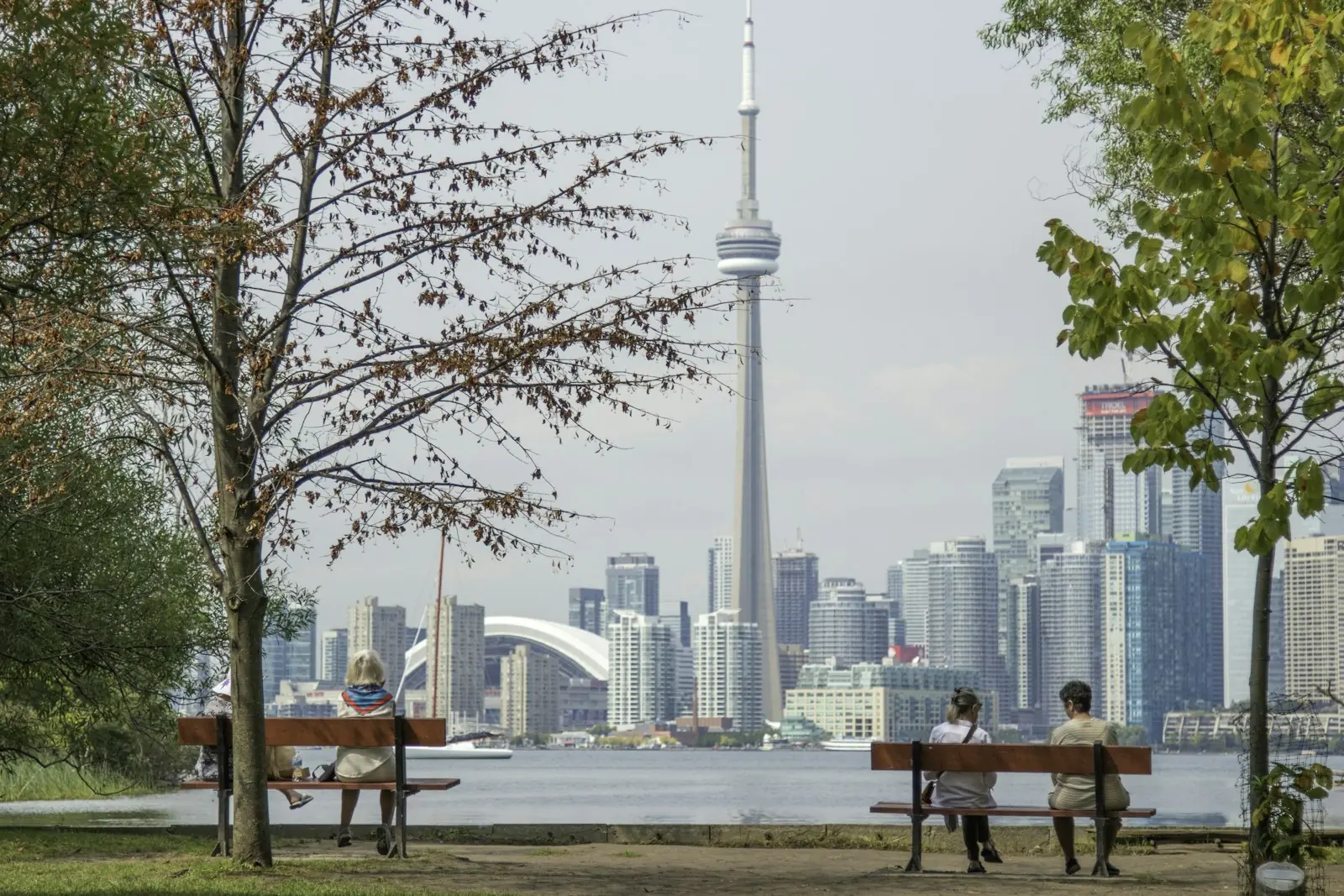 Toronto skyline and the CN Tower across the water